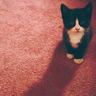 午休健身时猝死算工伤吗 法院判了
